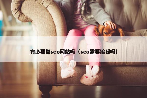 有必要做seo网站吗（seo需要编程吗）