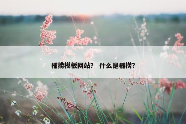 捕捞模板网站？ 什么是捕捞？