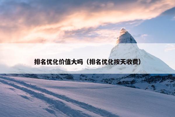 排名优化价值大吗（排名优化按天收费）