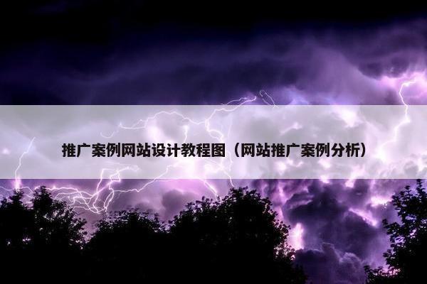推广案例网站设计教程图（网站推广案例分析）