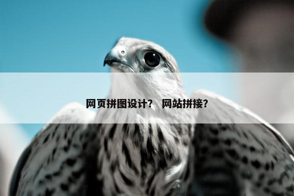 网页拼图设计？ 网站拼接？