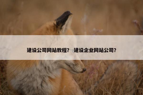 建设公司网站教程？ 建设企业网站公司？