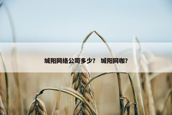 城阳网络公司多少？ 城阳网咖？
