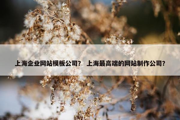 上海企业网站模板公司？ 上海最高端的网站制作公司？