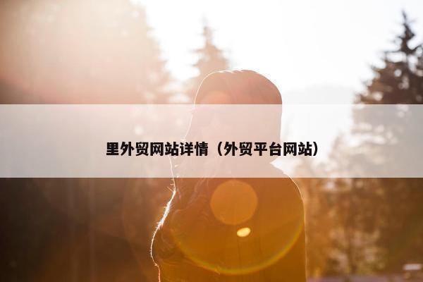 里外贸网站详情（外贸平台网站）