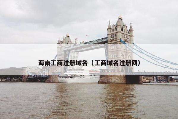 海南工商注册域名（工商域名注册网）