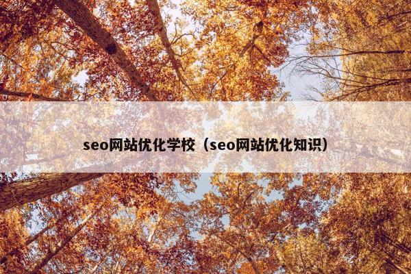 seo网站优化学校（seo网站优化知识）