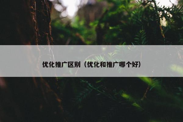 优化推广区别（优化和推广哪个好）