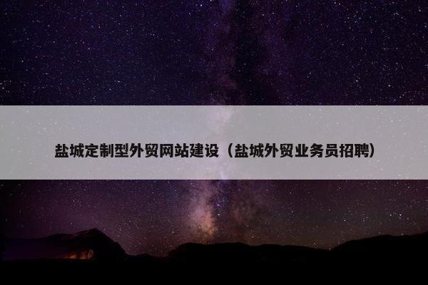盐城定制型外贸网站建设（盐城外贸业务员招聘）