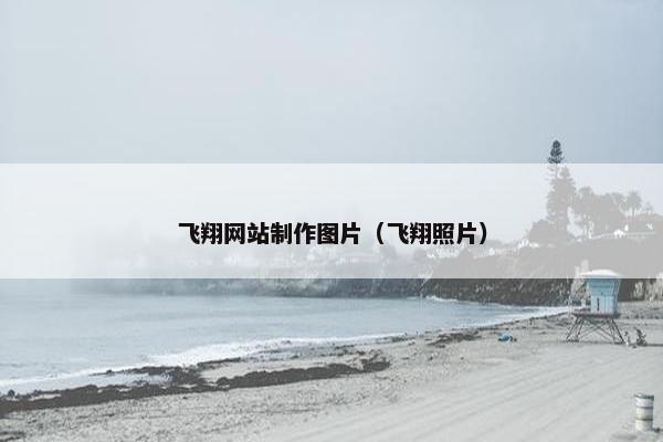 飞翔网站制作图片（飞翔照片）