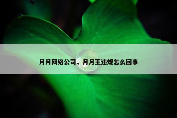 月月网络公司，月月王违规怎么回事
