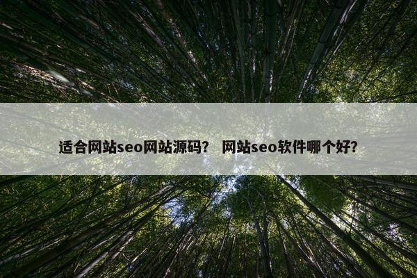 适合网站seo网站源码？ 网站seo软件哪个好？