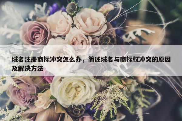 域名注册商标冲突怎么办，简述域名与商标权冲突的原因及解决方法
