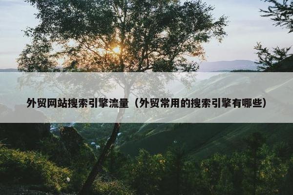 外贸网站搜索引擎流量（外贸常用的搜索引擎有哪些）