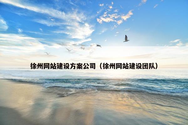 徐州网站建设方案公司（徐州网站建设团队）