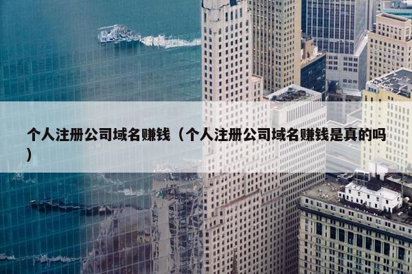 个人注册公司域名赚钱（个人注册公司域名赚钱是真的吗）