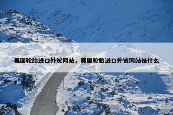 美国轮胎进口外贸网站，美国轮胎进口外贸网站是什么