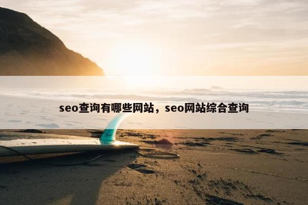 seo查询有哪些网站，seo网站综合查询