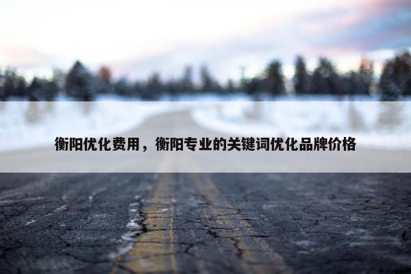 衡阳优化费用，衡阳专业的关键词优化品牌价格