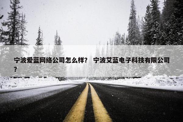 宁波爱蓝网络公司怎么样？ 宁波艾蓝电子科技有限公司？