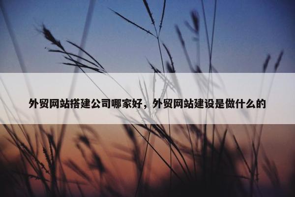 外贸网站搭建公司哪家好，外贸网站建设是做什么的
