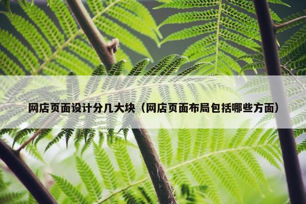 网店页面设计分几大块（网店页面布局包括哪些方面）
