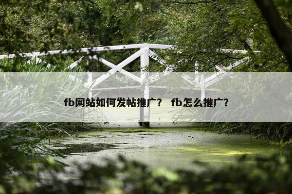 fb网站如何发帖推广？ fb怎么推广？