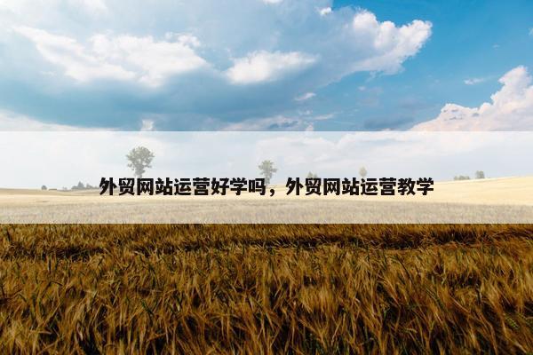 外贸网站运营好学吗，外贸网站运营教学