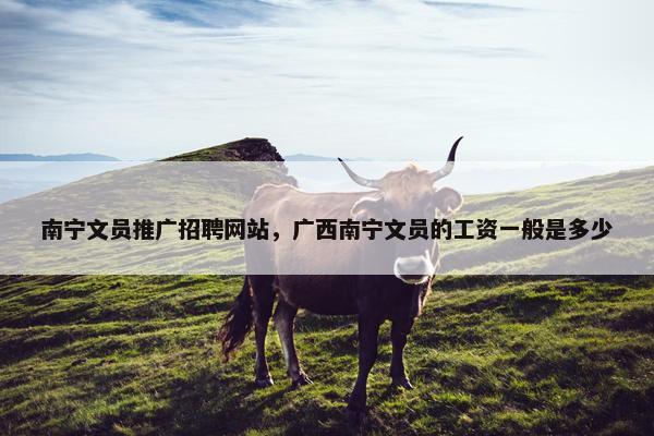 南宁文员推广招聘网站，广西南宁文员的工资一般是多少