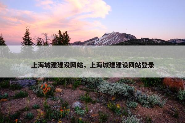 上海城建建设网站，上海城建建设网站登录