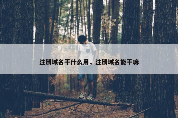 注册域名干什么用，注册域名能干嘛