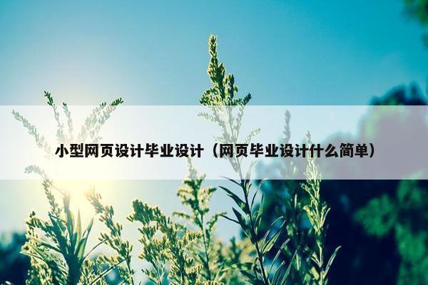 小型网页设计毕业设计（网页毕业设计什么简单）