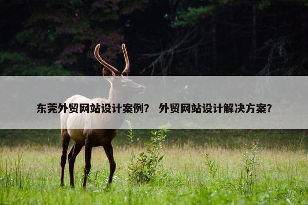 东莞外贸网站设计案例？ 外贸网站设计解决方案？