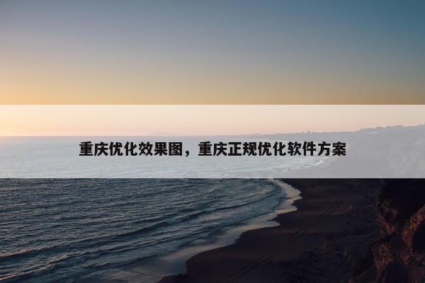 重庆优化效果图，重庆正规优化软件方案