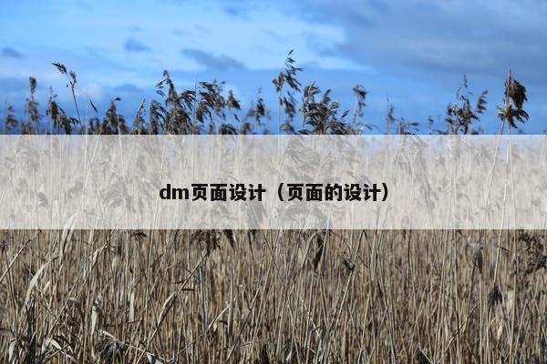 dm页面设计（页面的设计）