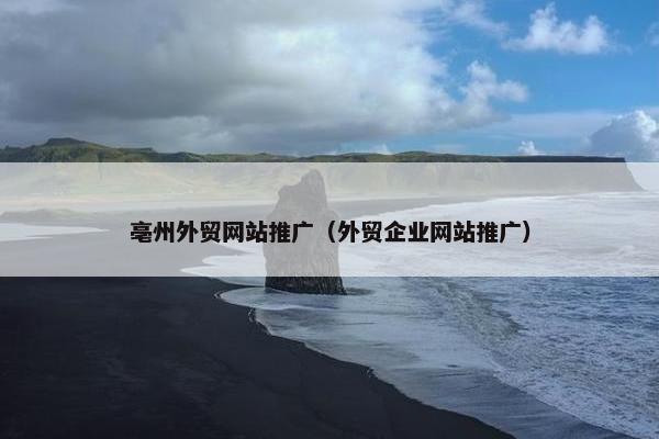 亳州外贸网站推广（外贸企业网站推广）