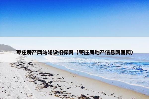 枣庄房产网站建设招标网（枣庄房地产信息网官网）