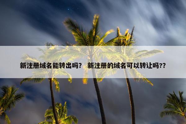 新注册域名能转出吗？ 新注册的域名可以转让吗?？