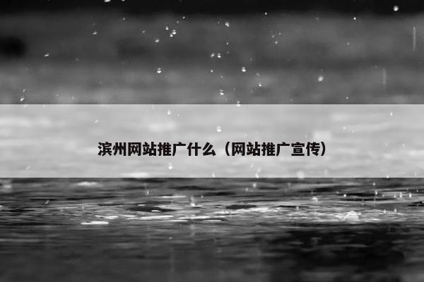 滨州网站推广什么（网站推广宣传）