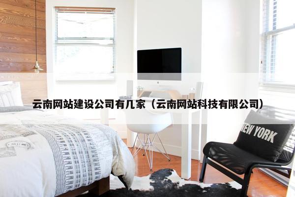 云南网站建设公司有几家（云南网站科技有限公司）