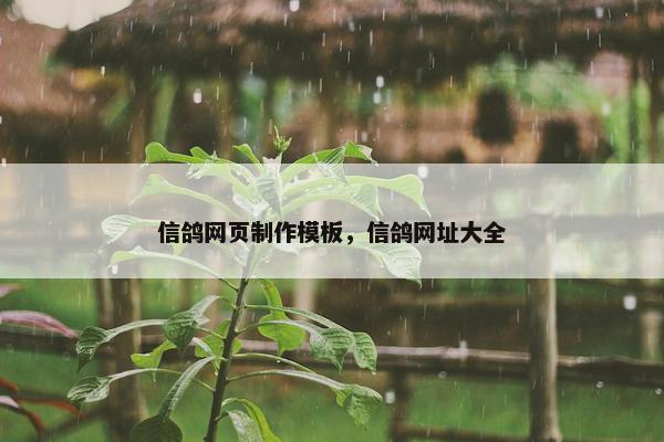 信鸽网页制作模板，信鸽网址大全