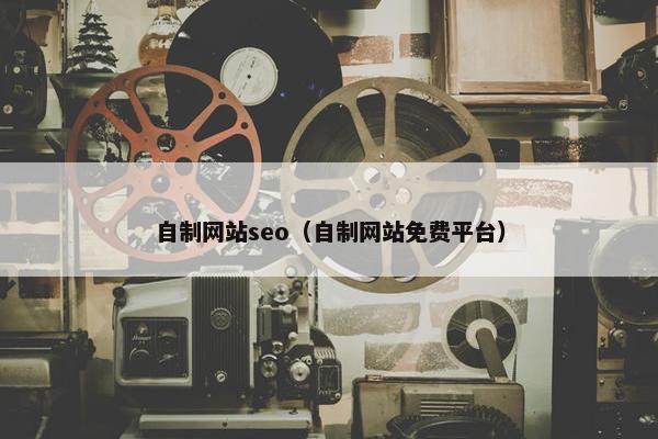自制网站seo（自制网站免费平台）