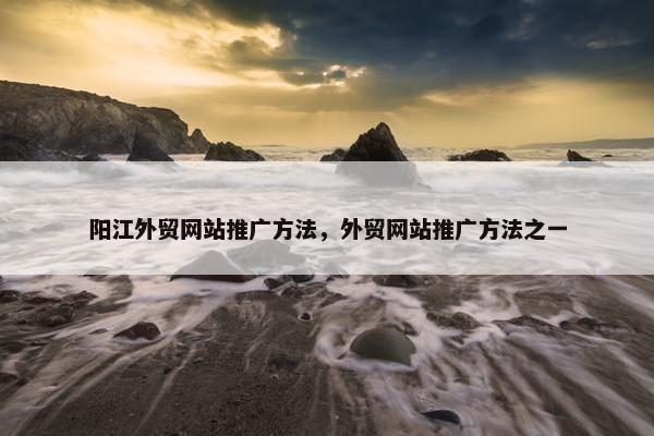 阳江外贸网站推广方法，外贸网站推广方法之一
