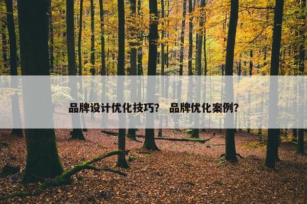 品牌设计优化技巧？ 品牌优化案例？