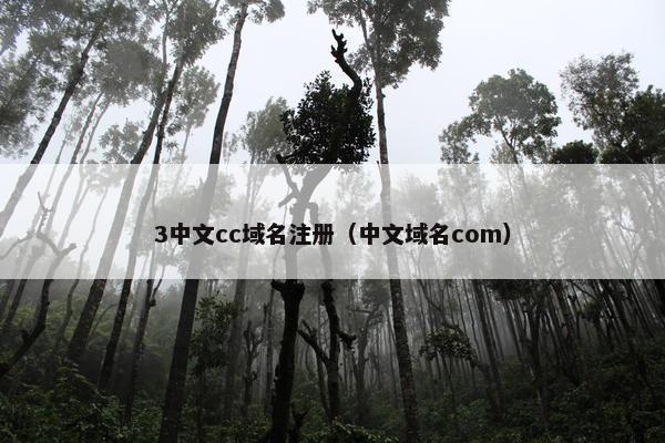 3中文cc域名注册（中文域名com）
