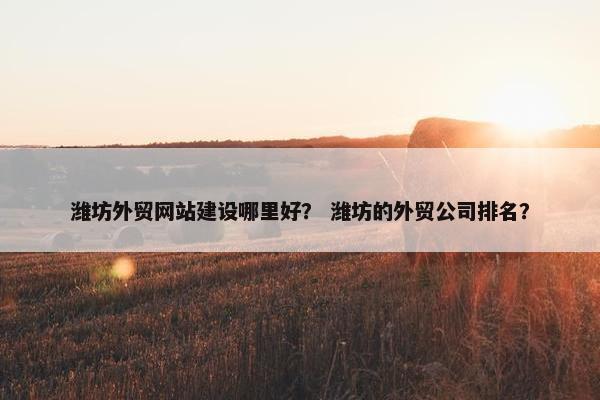 潍坊外贸网站建设哪里好？ 潍坊的外贸公司排名？