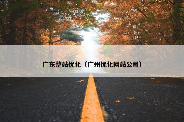 广东整站优化（广州优化网站公司）