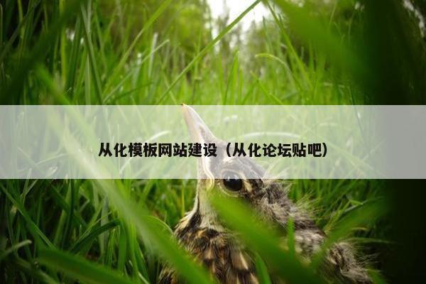 从化模板网站建设（从化论坛贴吧）