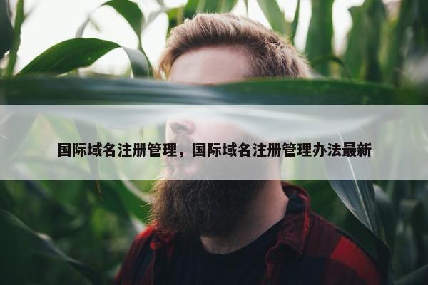 国际域名注册管理，国际域名注册管理办法最新