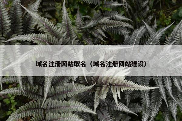 域名注册网站取名（域名注册网站建设）